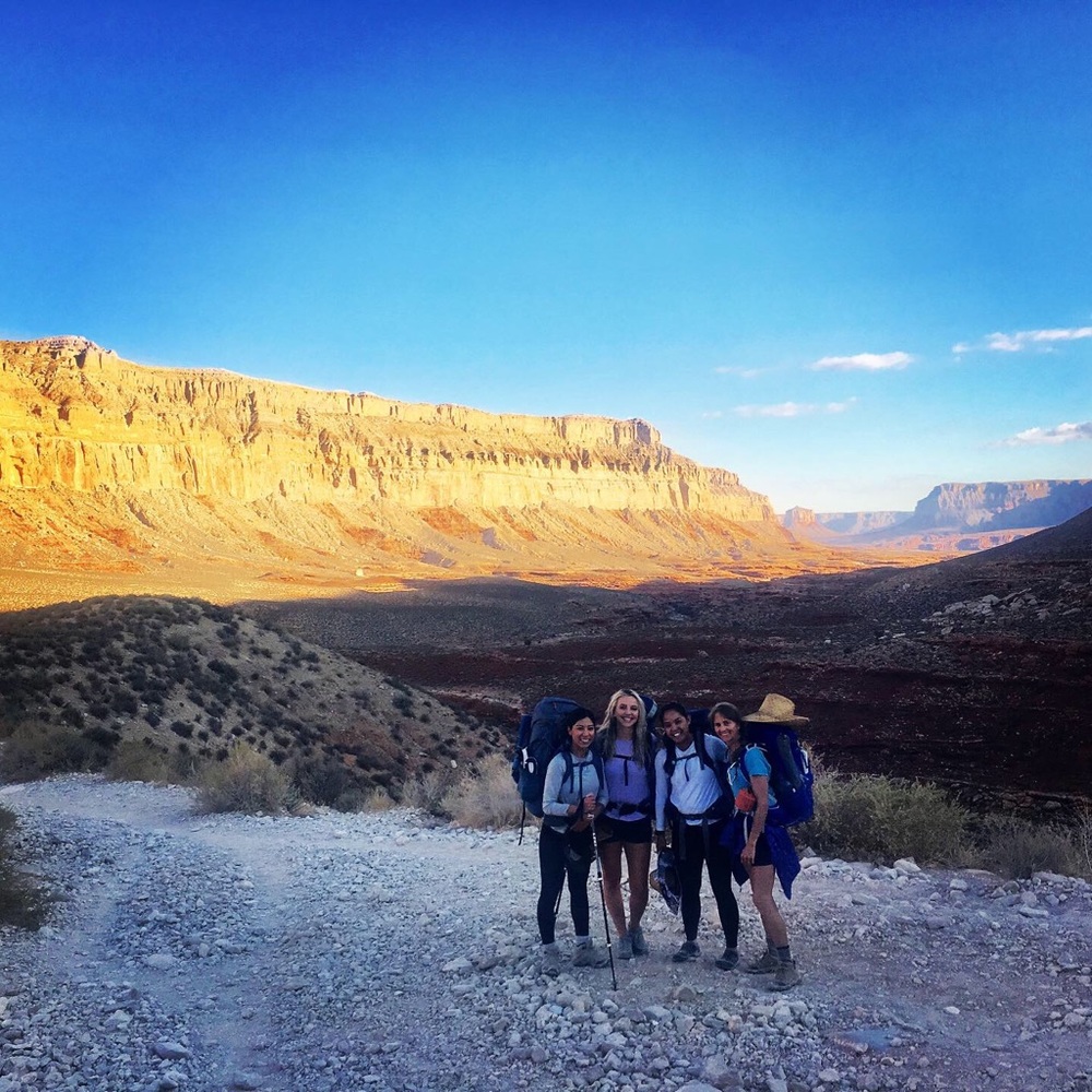 Meet your Posher, Susie